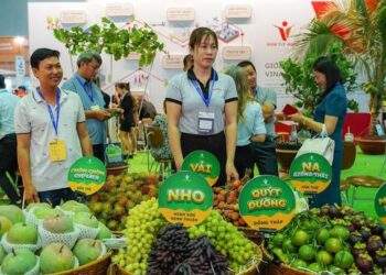 Bắt nhịp thị trường thế giới tại hội chợ hàng Việt Nam xuất khẩu 2024