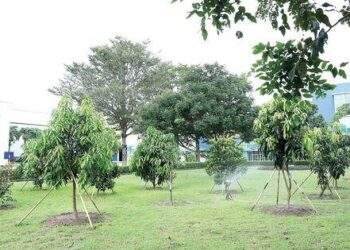 Cắt giảm và tái sử dụng góp phần quản lý nguồn nước hiệu quả tại doanh nghiệp