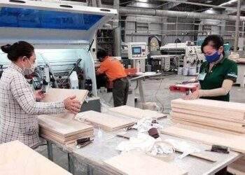 Gỗ Trường Thành được ngân hàng xoá nợ