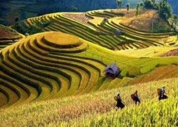 Hướng tới mục tiêu phát triển kinh tế xanh, kinh tế bền vững tại vùng trung du và miền núi phía Bắc đến năm 2030