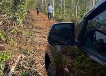 Mua 3 nền đất chỉ bằng giá 2 nền của năm trước, nhà đầu tư gặp "hàng đẹp" là xuống tiền ngay!