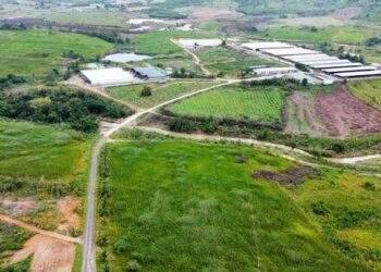 Vì sao một doanh nghiệp ở Đắk Lắk chưa hoàn trả hơn 55 tỷ đồng ngân sách tạm ứng cho dự án nuôi bò
