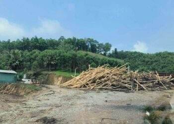 Xử lý dứt điểm vi phạm tại các điểm thu mua, chế biến nguyên liệu