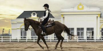 Trải nghiệm học cưỡi ngựa ‘chuẩn’ hoàng gia tại Vinhomes Royal Island 