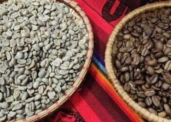 8 lô hàng bị báo cáo “rút ruột” tại cảng Cát Lái
