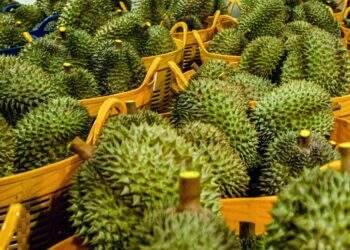 Bất ngờ giá sầu riêng chỉ 70.000 đồng/kg, táo Mỹ hơn 40.000 đồng/kg