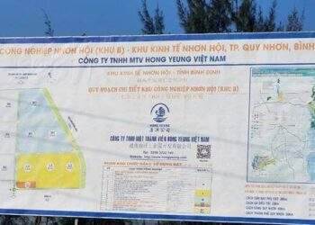 Bình Định tạm hoãn xuất cảnh một tổng giảm đốc quốc tịch Trung Quốc