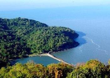 Cà Mau thành lập Khu bảo tồn biển 27.000 ha