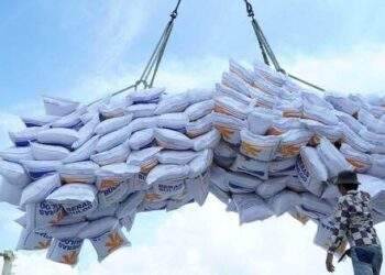 Cục Xuất Nhập khẩu yêu cầu VFA báo cáo vụ gạo “bỏ thầu giá thấp”