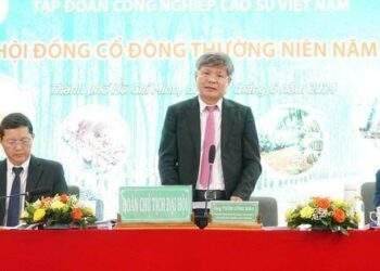 Giá cao su tăng, lợi nhuận Tập đoàn Công nghiệp cao su Việt Nam khả quan