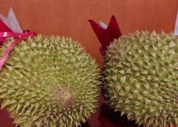 Giá sầu riêng biến động mạnh hơn thị trường chứng khoán