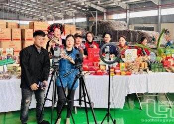 Chủ thể hợp tác xã phối hợp với các tiktoker livestream bán hàng tại Phiên chợ tiêu thụ sản phẩm miến dong Việt Cường và nông sản Thái Nguyên.
