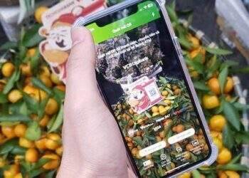 Khi thanh toán qua QR Code trở thành công nghệ thiết yếu với người dân