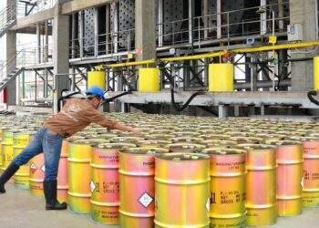Kiểm toán đề nghị kiểm tra việc thoái vốn của Vinachem tại Hóa chất Đức Giang