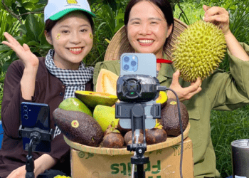 Livestream bán trái cây tại vườn hút gần 3 triệu lượt xem