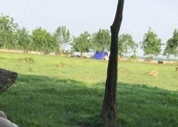 Nhiều quy định đột phá