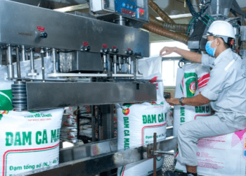 Phân bón Dầu khí Cà Mau chia cổ tức 20% bằng tiền mặt