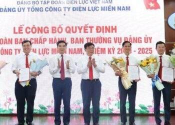 Tổng công ty Điện lực miền Nam bổ nhiệm nhiều cán bộ mới