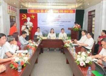Trồng cây xanh để giảm phát thải, chuyển dịch năng lượng xanh