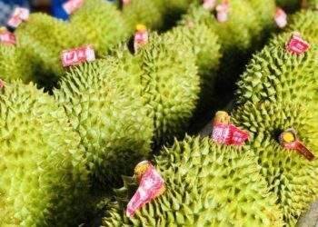 Việt Nam có thể vượt Malaysia, trở thành đối tác xuất khẩu lớn nhất sang Trung Quốc trong khối ASEAN