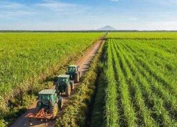 "Công chúa mía đường" muốn bán 70 triệu cổ phiếu SBT