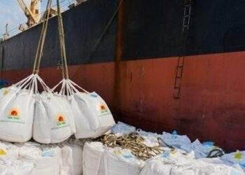 Công ty gạo Lộc Trời thay 'tướng' sau nhiều sự cố