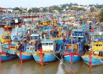 Đến năm 2030 cả nước sẽ có 173 cảng cá, tổng công suất bốc dỡ gần 3 triệu tấn hải sản