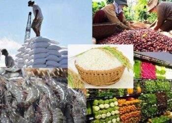 Doanh nghiệp cần may “áo giáp pháp lý” khi “đem chuông đi đánh xứ người”