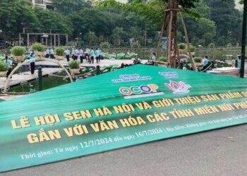 Gói thầu Lễ hội sen Hà Nội bất ngờ bị hủy trước ngày tổ chức