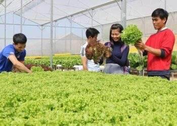 Khơi thông hành lang pháp lý cho phát triển nông nghiệp công nghệ cao
