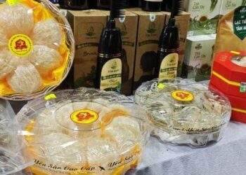 Ngành yến sào còn xa giấc mơ “tỉ USD”