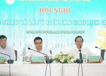 Sắp có sàn giao dịch cao su