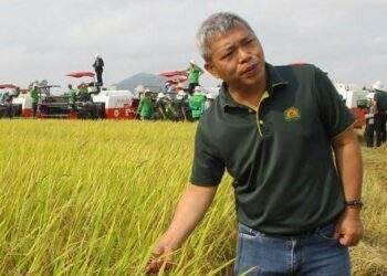 Tập đoàn Lộc Trời miễn nhiệm tổng giám đốc