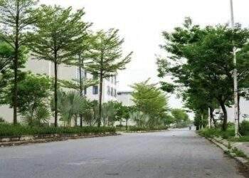 Thẩm quyền của Bộ Xây dựng về định mức lĩnh vực cây xanh, chiếu sáng