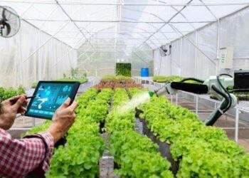Thúc đẩy nghiên cứu, chuyển giao khoa học công nghệ vào sản xuất nông nghiệp