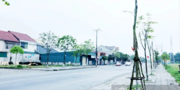 Cây xanh Công Minh đều đặn trúng thầu sát giá tại Bình Phước