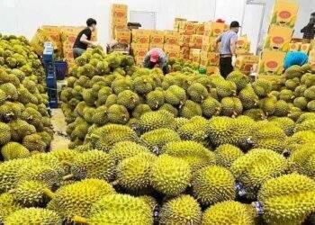 ‘Vua trái cây Việt’ thu về hơn 1 tỷ USD chỉ trong 2 tháng
