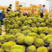 ‘Vua trái cây Việt’ thu về hơn 1 tỷ USD chỉ trong 2 tháng