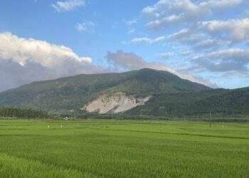 Bình Định xử phạt doanh nghiệp khai thác đá 350 triệu đồng