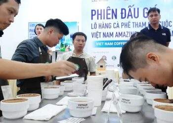 Cà phê đặc sản "ngon nhất Việt Nam" được chốt giá 1,2 triệu đồng/kg