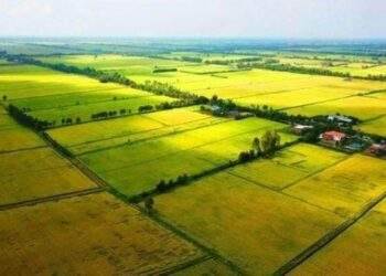 Chính phủ ban hành Nghị định quy định chi tiết thi hành Luật Đất đai