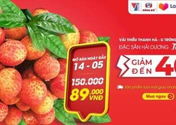Hai Duong angles to boost lychee exports