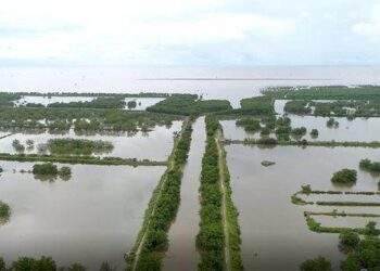 Hải Phòng gia hạn sử dụng đất 24 tháng đối với khu đầm nuôi trồng thuỷ sản hơn 300ha