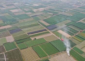 Inheritance dispute emerges after land prices rise