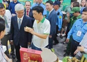 Khởi nghiệp với sâm Ngọc Linh