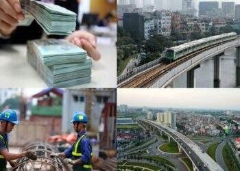 New legal documents in first half of August 2024