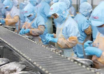 Người Mỹ bung tiền mua nông sản Việt, có mặt hàng thu thêm cả tỷ USD