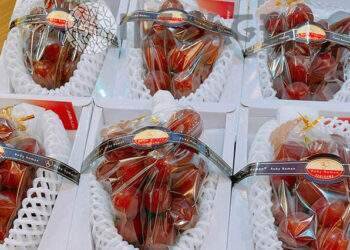 Nhiều người ‘xếp hàng’ mua nho Nhật đắt nhất thế giới giá 12 triệu đồng/kg