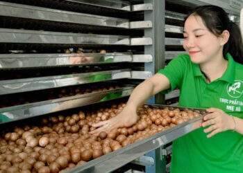 Nữ doanh nhân Bình Phước đồng hành cùng nhà nông khởi nghiệp trên sàn TMĐT