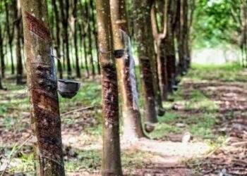 Rubber industry aims for quality and sound solutions